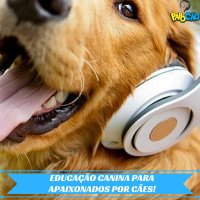 Como Lidar com Cães Possessivos