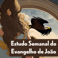 #13 Evangelho de João. Ver a Inteligência Divina