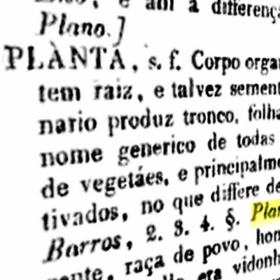 Todas As Plantas Têm Nome