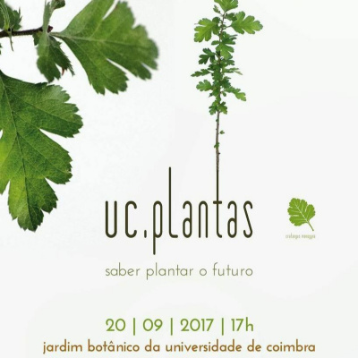 Todas As Plantas Têm Nome