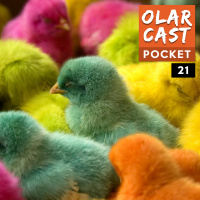 Pocket #21 | Sommeliers de Piroca