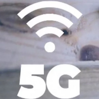 Será que agora vai?