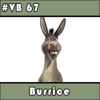 VB 67 - Burrice