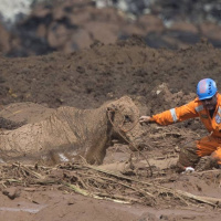 #98 ITS EVOLUTION, BABY! - com Marília Budó
