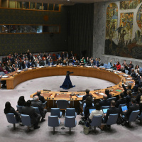 Membros permanentes não permitirão ampliação do Conselho de Segurança da ONU, afirma professora