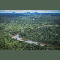 Amazônia perdeu 52 milhões de hectares de vegetação nativa em quatro décadas, aponta levantamento