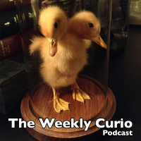 The Weekly Curio – Episode 15