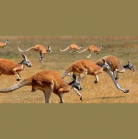 4 ações brilhantes que farão o cliente voltar à sua loja virtual