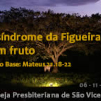 #29 - A síndrome da figueira sem fruto