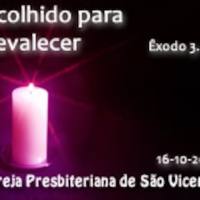 #24 - Escolhidos para prevalecer