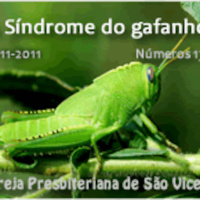 #31 - A síndrome do gafanhoto