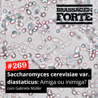 #269 - Saccharomyces cerevisiae var. diastaticus: Amiga ou inimiga?