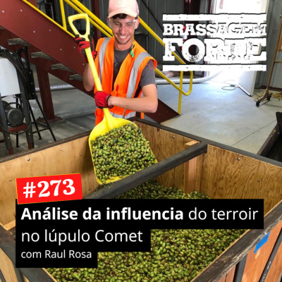 Brassagem Forte