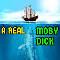 Essa Baleia foi a verdadeira Moby Dick!