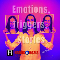 Emotions, Triggers amp Stories