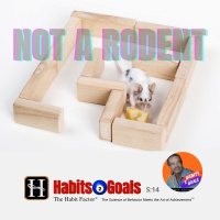 Not a Rodent: Interview Recap