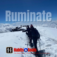 Ruminate