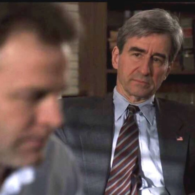 ...these Are Their Stories: The Law  Order Podcast