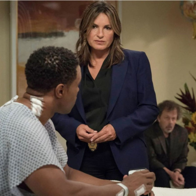 ...these Are Their Stories: The Law  Order Podcast