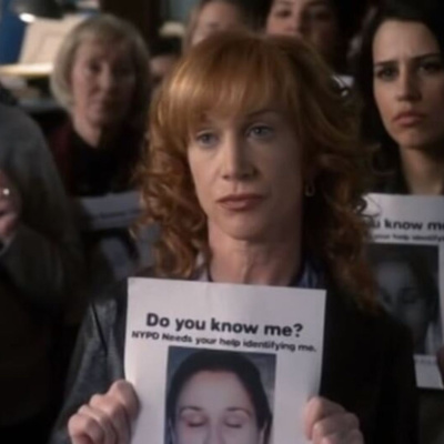 ...these Are Their Stories: The Law  Order Podcast