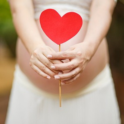 Canguru: Criando Filhos Em Bh - Ivana Moreira