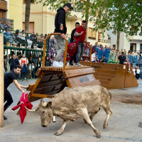 Festas de touro na Espanha