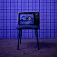 WIP #10 - Editando reality shows