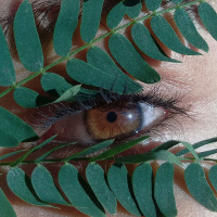 Aula de fotografia para senhorinhas com Rapha Phields [ PODCAST EXCLUSIVO DA GUERRILHA ]