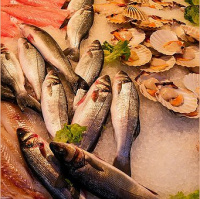 Concentração de Omega-3 está associada a um melhor desempenho cerebral entre adultos na meia-idade