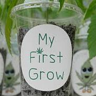 Grow Radio Show