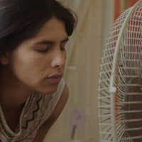 O despertar das formigas, um filme sobre decisões