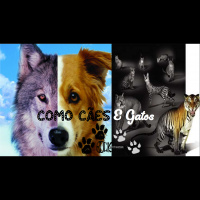 Como Cães e Gatos (S09E17)