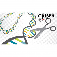 CRISPR (S09E05)