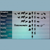 Taxonomia (S09E06)