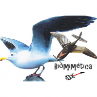 Biomimética (S10E01)