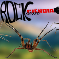 Rock das Aranhas (S10E02)