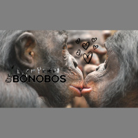 Bonobos (S09E15)