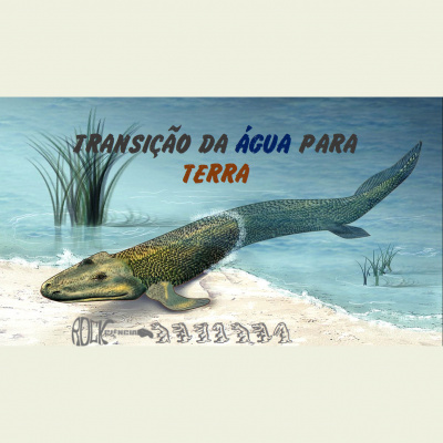 Rock Com Ciência