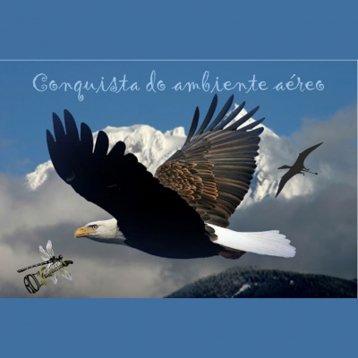 Rock Com Ciência
