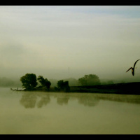 JUST LIKE THE MOVIES