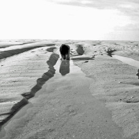 A MULHER MAIS BONITA DO MUNDO