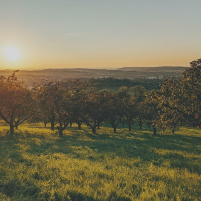 Igreja Batista Nações Unidas