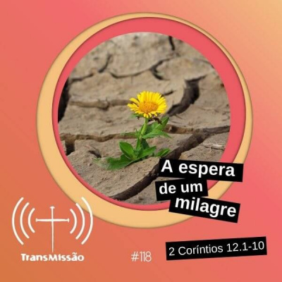 Transmissão | Bibotalk  Teoligado