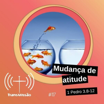 Transmissão | Bibotalk  Teoligado