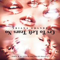 A.r.i.a.n.a.G.r.a.n.d.e. - N.o.T.e.a.r.s.L.e.f.t.T.o.C.r.y. (John W amp Paulo Pringles Bootleg)