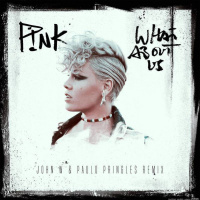P.i.n.k. - W.h.a.t.A.b.o.u.t.U.s. (John W e Paulo Pringles Remix)