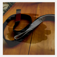 Mentalidade Black Belt - A faixa de um lado só