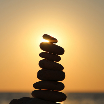 Treinador De Cérebros