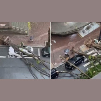 Taxista sobrevive após árvore cair sobre carro durante temporal em SP