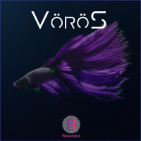 VöröS HOUSE PROMOSET 02